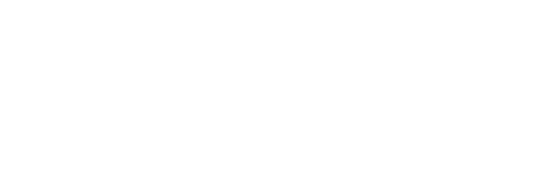 Frozen Owl Website Template